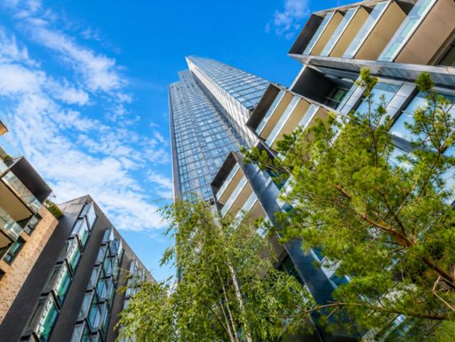 Flat for rent in Cat Hill