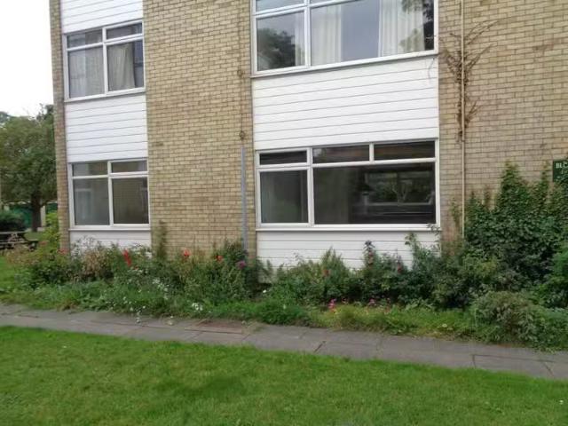 House for rent in Chesterton, Arbury