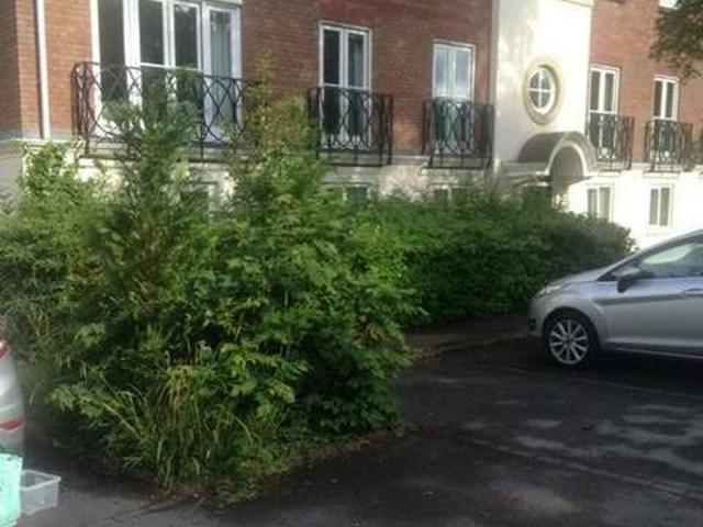 House for rent in Durham, North East