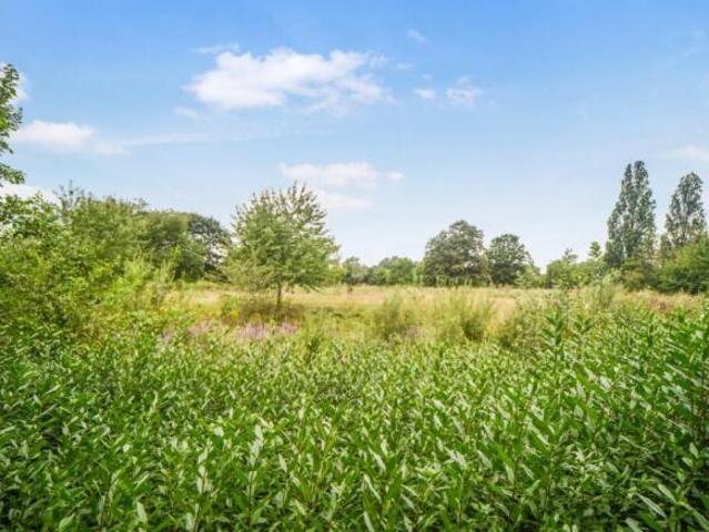 Flat for rent in Cat Hill