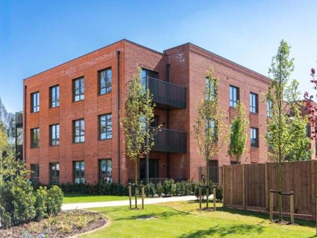 Flat for rent in Cat Hill