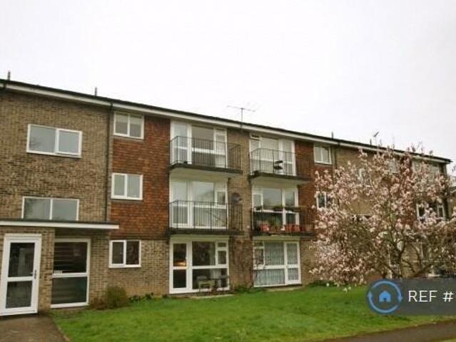 House for rent in Reading