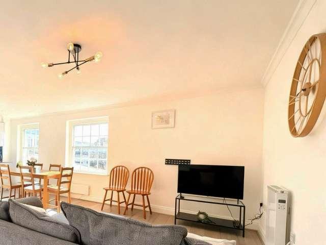 Apartment for rent in Reading