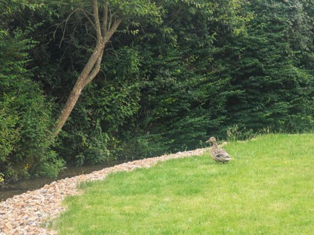 Flat for sale in Priest Down, Hampshire