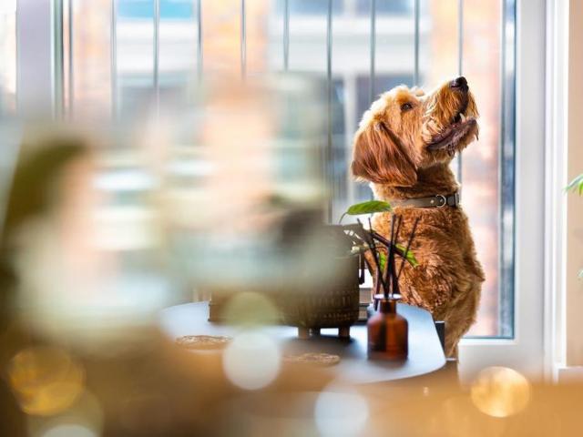 Apartment for rent in Highgate, Isle Of Man