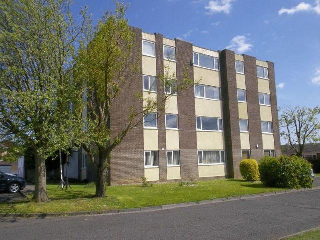 Flat for rent in Killingworth, Camperdown