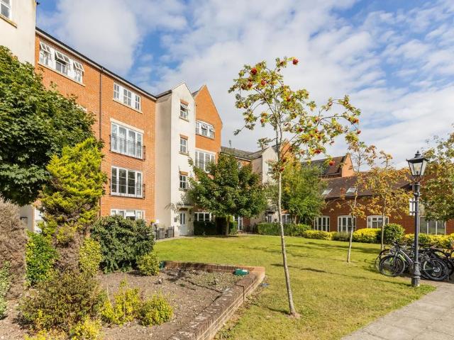 Flat for rent in Belmont, Dromore