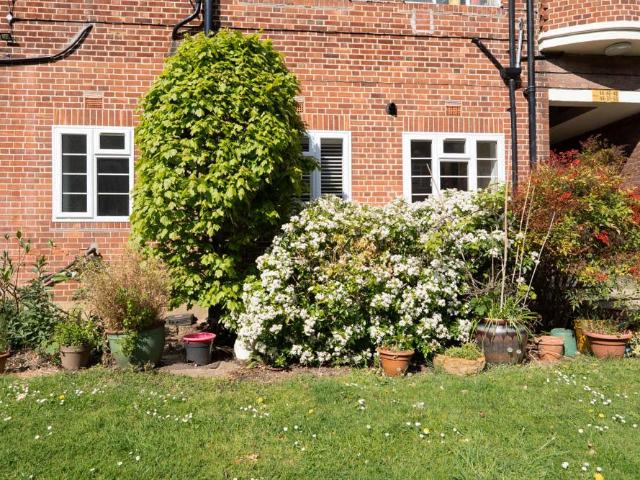 Flat for rent in Snaresbrook, Greater London