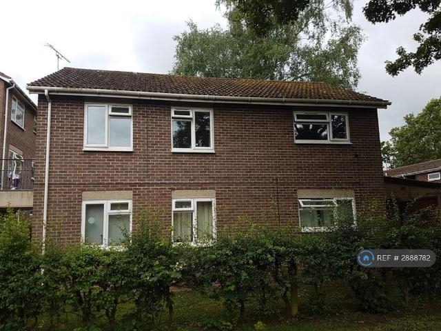 Flat for rent in Heigham Grove, East Bank