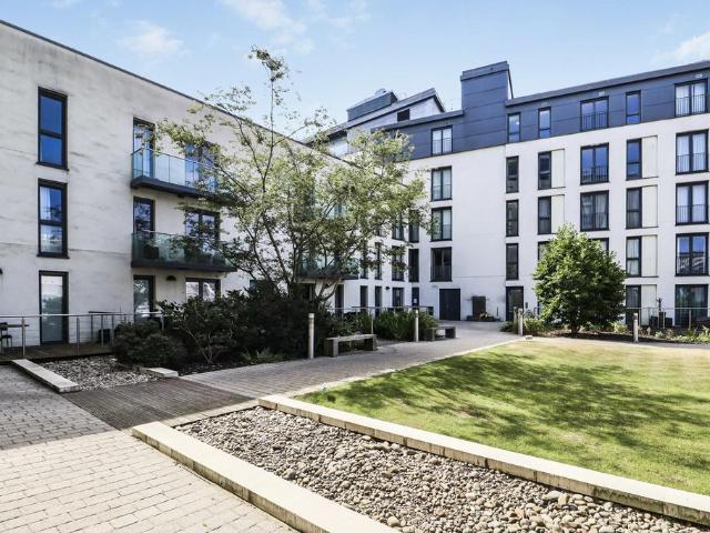 Flat for rent in City Centre, Falcon Lodge