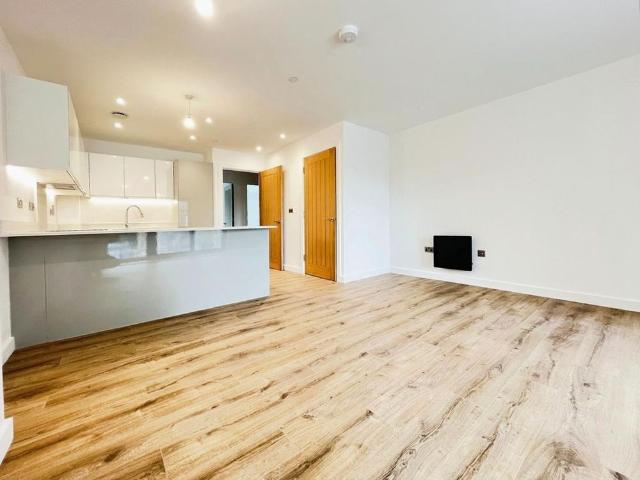 Apartment for rent in South Ashford, Bridgefield