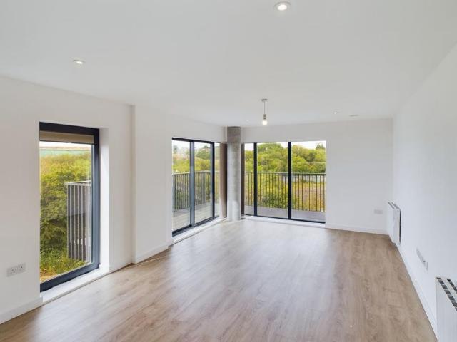 Apartment for rent in South Ashford, Bridgefield