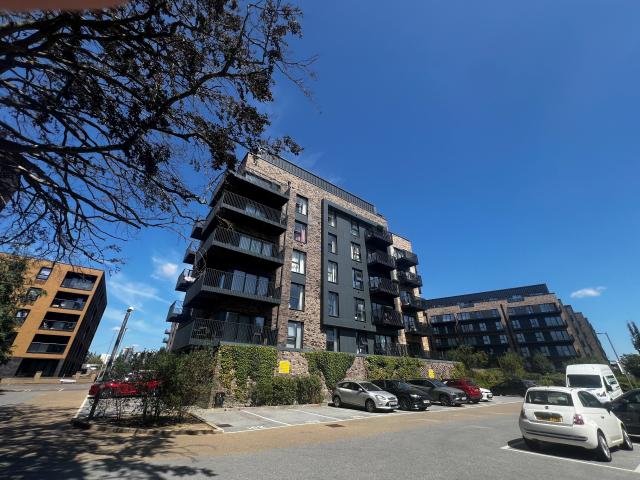 Apartment for rent in Repton Manor, Bridgefield