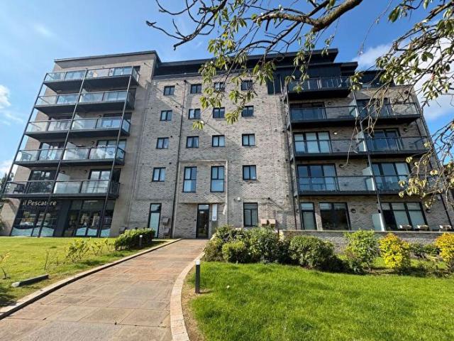 Apartment for rent in Charleston, Glenburn