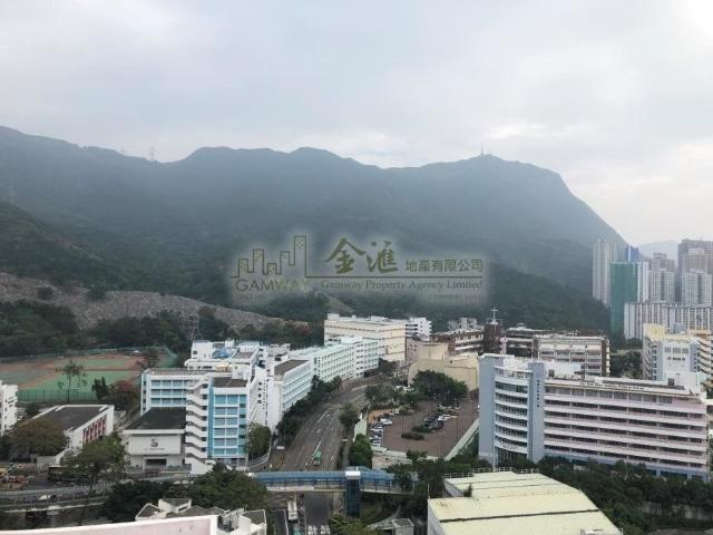 提供 出租 的 公寓