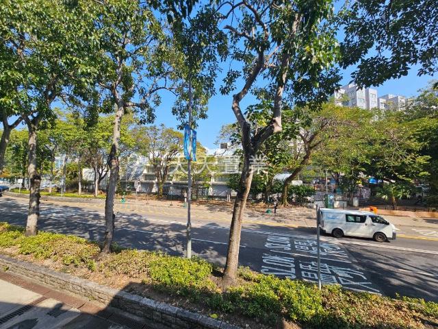 提供 出租 的 別墅