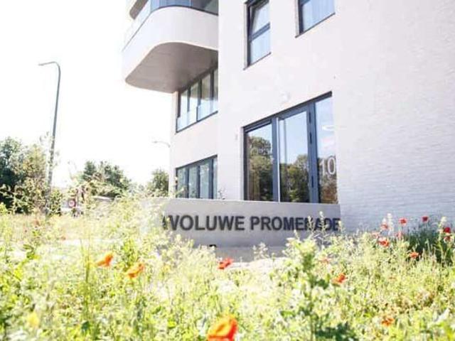 Appartement location à Woluwe-saint-etienne, Brabant