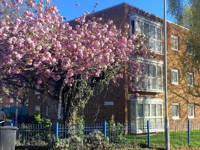 Flat for sale in Old Town, Poole