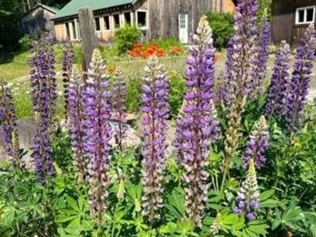 House for sale in Guilford, Maine