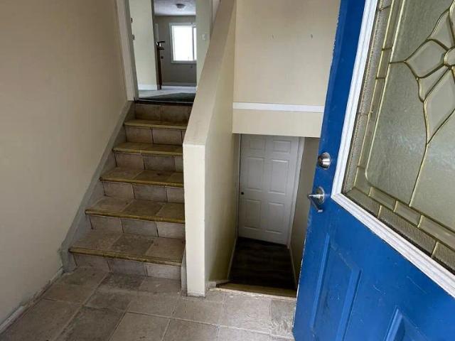 Apartment for rent in Falconridge, Calgary