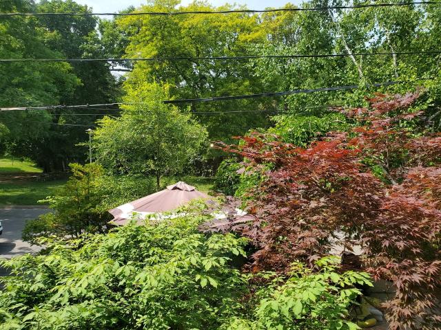 House for rent in Toronto