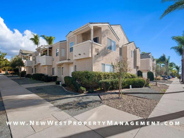 House for rent in San Ysidro, Jacumba