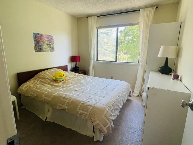 House for rent in Novato, California