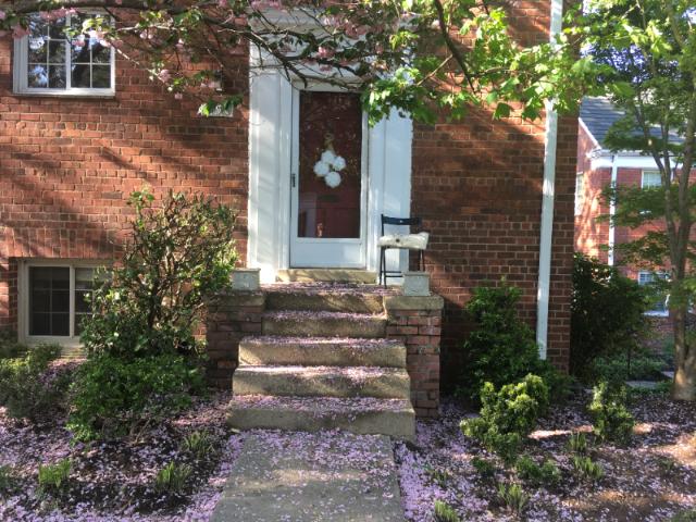 House for rent in Alexandria