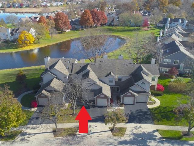 House for rent in Elgin, Illinois