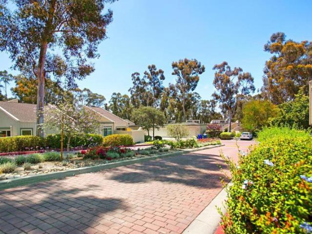House for rent in Jacumba, California