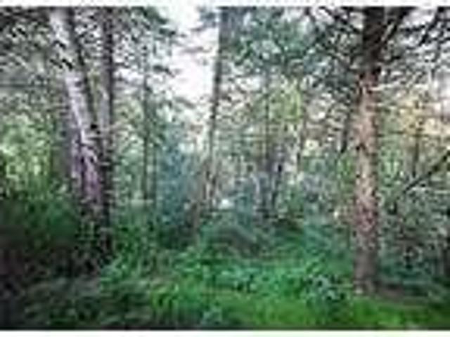 House for rent in Ellwood City, Pennsylvania