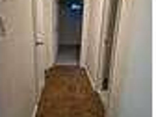 House for rent in New Port Richey, Florida