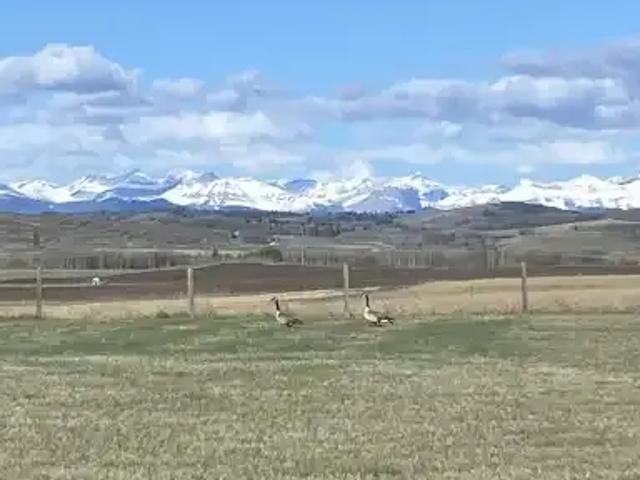 House for rent in Alberta
