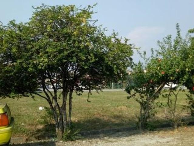 House for rent in Port Klang, Selangor