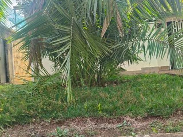 House for rent in Kiambu, Nairobi