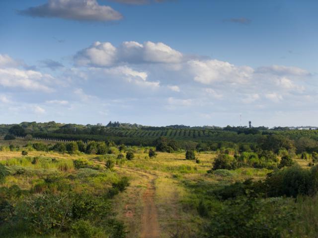 House for sale in Princess Grant, Kwazulu-natal