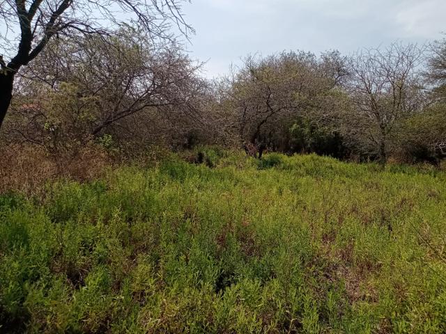 House for sale in Ehlanzeni, Mpumalanga