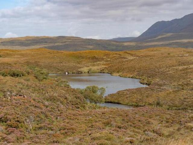 House for sale in Scotland