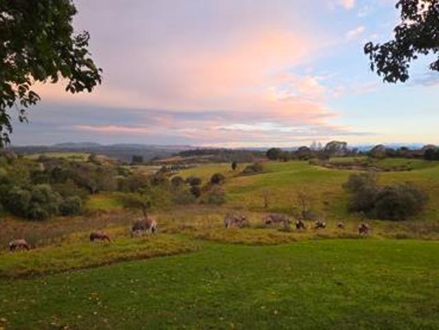 House for sale in Umgungundlovu, Kwazulu-natal