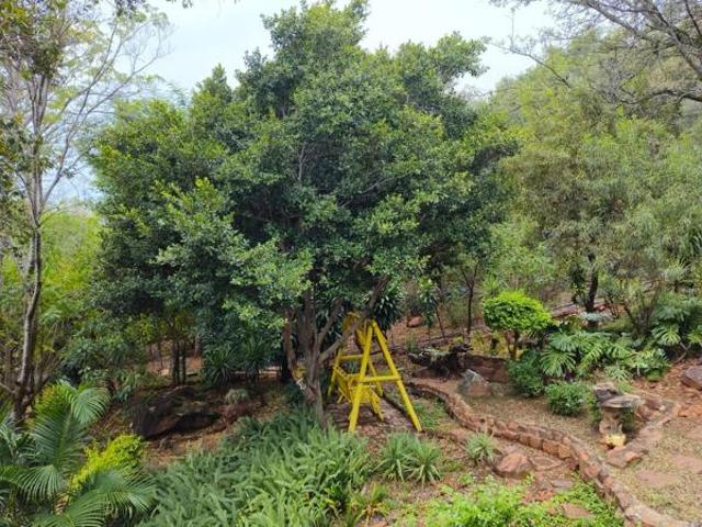 House for sale in Limpopo