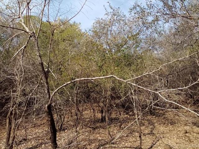 House for sale in Ehlanzeni, Mpumalanga