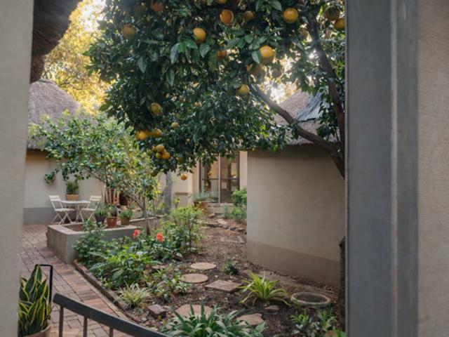 House for sale in Naboomspruit, Limpopo