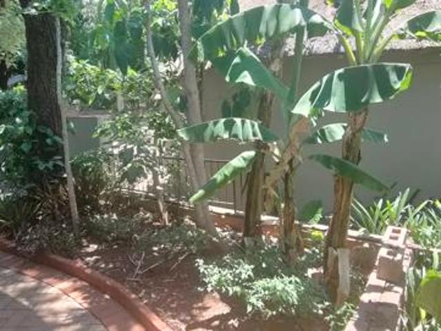 House for sale in Naboomspruit, Limpopo