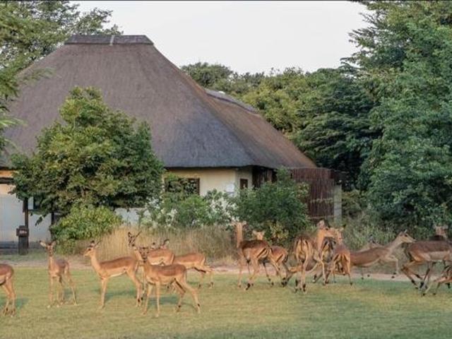 House for rent in Mopani, Limpopo