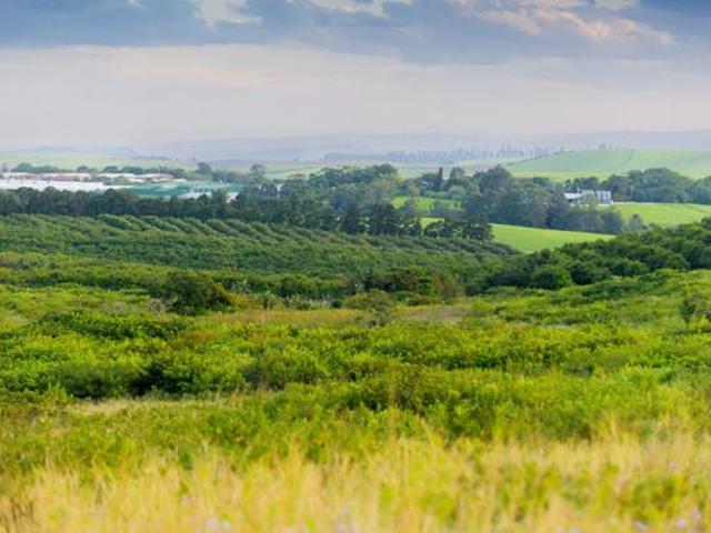 House for sale in Princess Grant, Kwazulu-natal