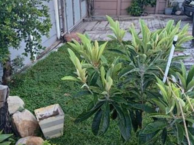 House for sale in Cape Town, Western Cape