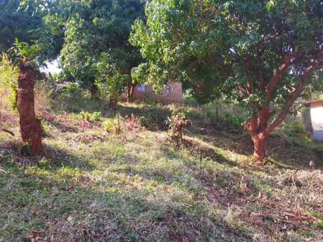 House for sale in Vhembe, Limpopo