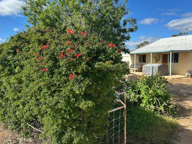 House for sale in Koorda, Shire Of Koorda