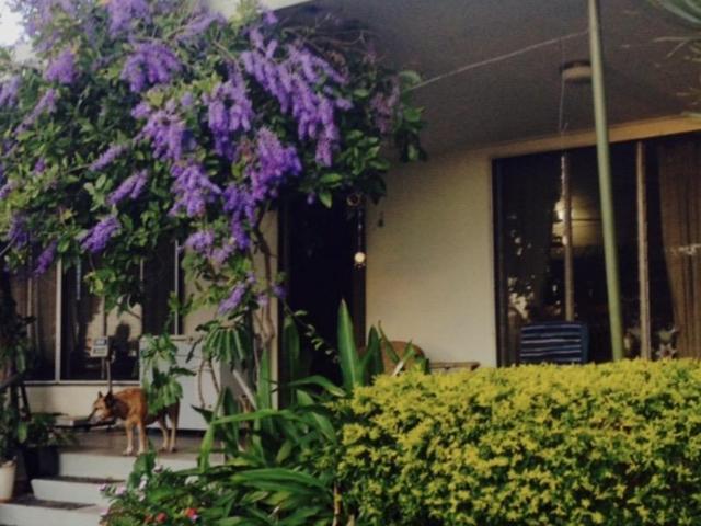 House for sale in Hinchinbrook, Queensland