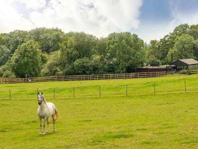 House for rent in Fole, Surrey